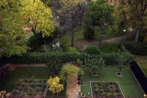 Residencia Geriátrica Las Rosas
